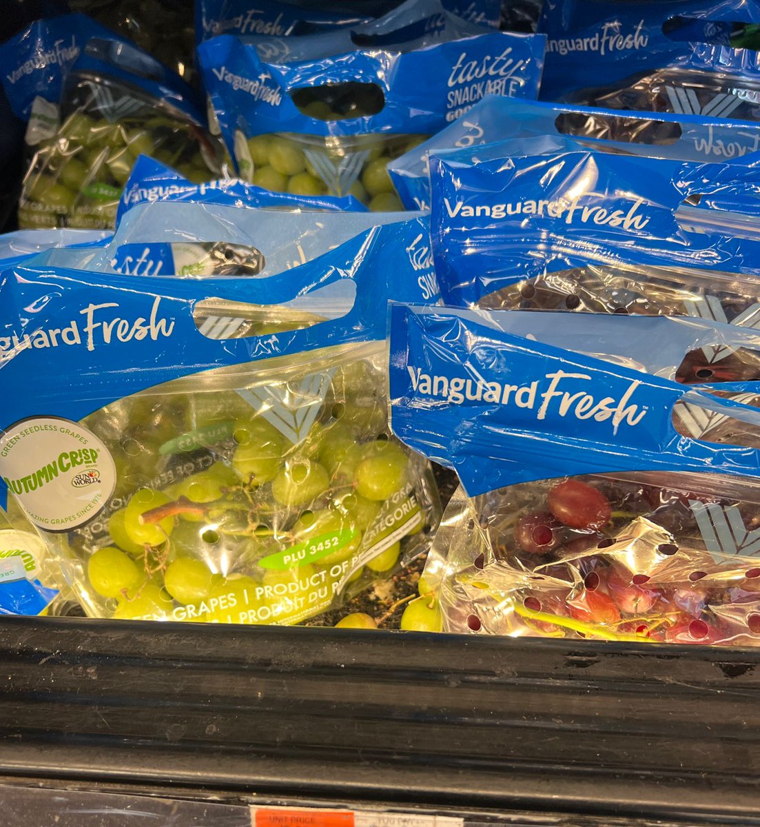 VanguardFresh's tweet photo. Vanguard Fresh's Autumn Crisp and Sweet Celebration have arrived... looking delicious🍇
#grapes #fruits #vanguardfresh #Retail https://t.co/P1QTwAklai