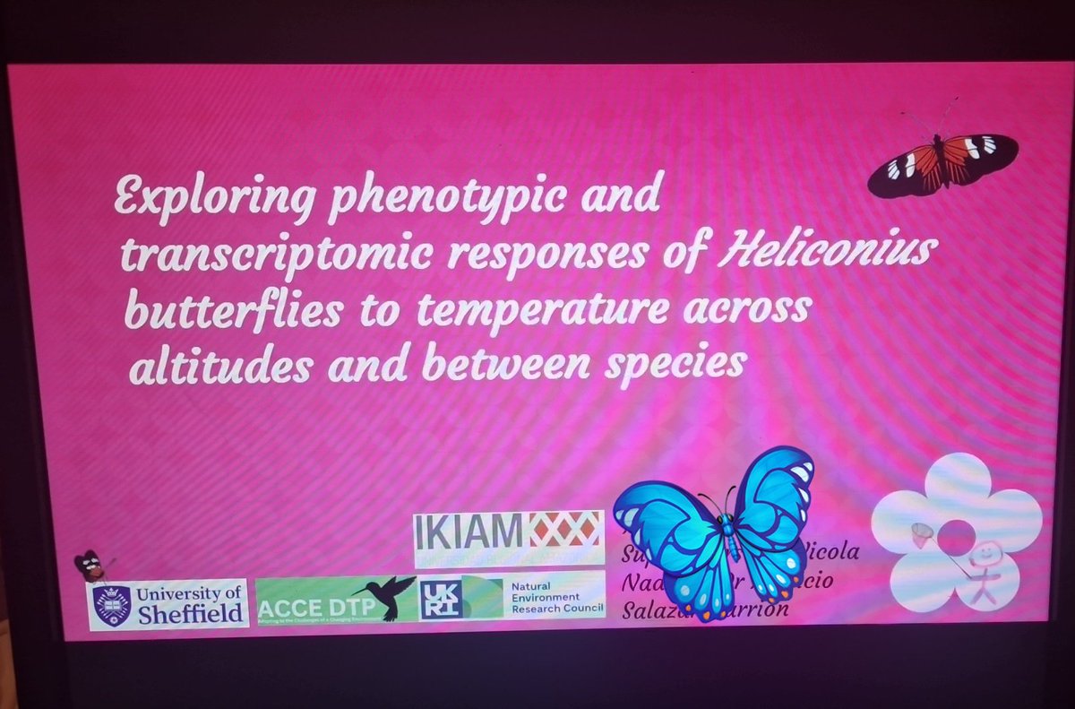 I'm doing a seminar tomorrow (tues) on my entire thesis as part of my viva prep before my mock (same day). I may have crash coursed myself for my viva 🙂🫠