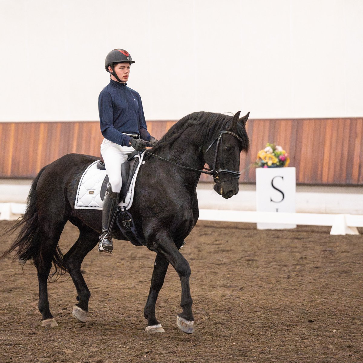 tpdfan's tweet photo. Hey there! I'm Finn, dedicated to the art of dressage and the magic of horse-human connection. When not in the arena, I'm lost in the pages of books or singing along to Taylor Swift!

Excited for TTPD 🤍🤍🤍 #DressageLife #Bookworm #Swiftie https://t.co/HnHpSmZpDC