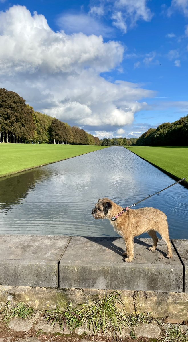 SamPlusLou's tweet photo. We iz xplorin  Park van Tervuren an de Africa Museum in Brussels. 
Den de  noms of de “Best Burger Benelux” at Gordaelmolen (Het Spaans Huis). https://t.co/ov9NUCxy9v