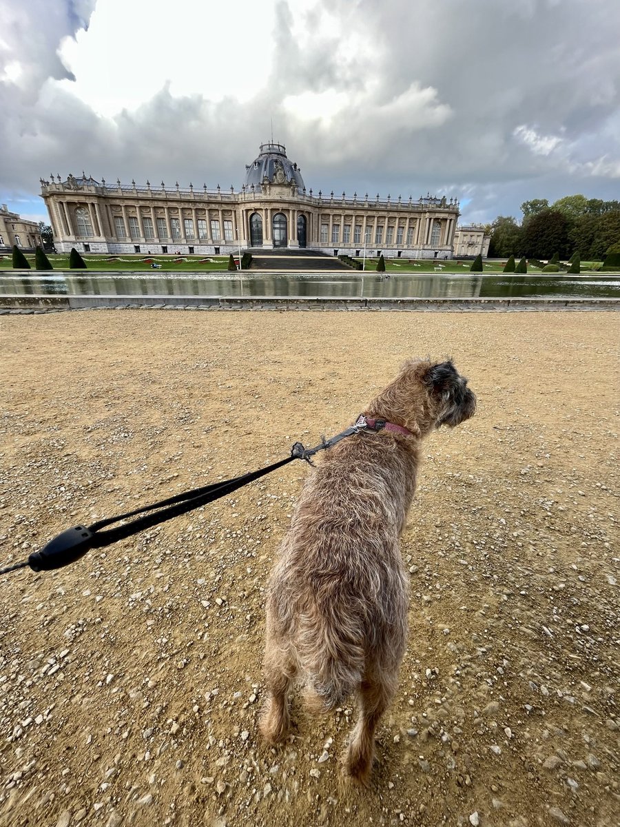 SamPlusLou's tweet photo. We iz xplorin  Park van Tervuren an de Africa Museum in Brussels. 
Den de  noms of de “Best Burger Benelux” at Gordaelmolen (Het Spaans Huis). https://t.co/ov9NUCxy9v