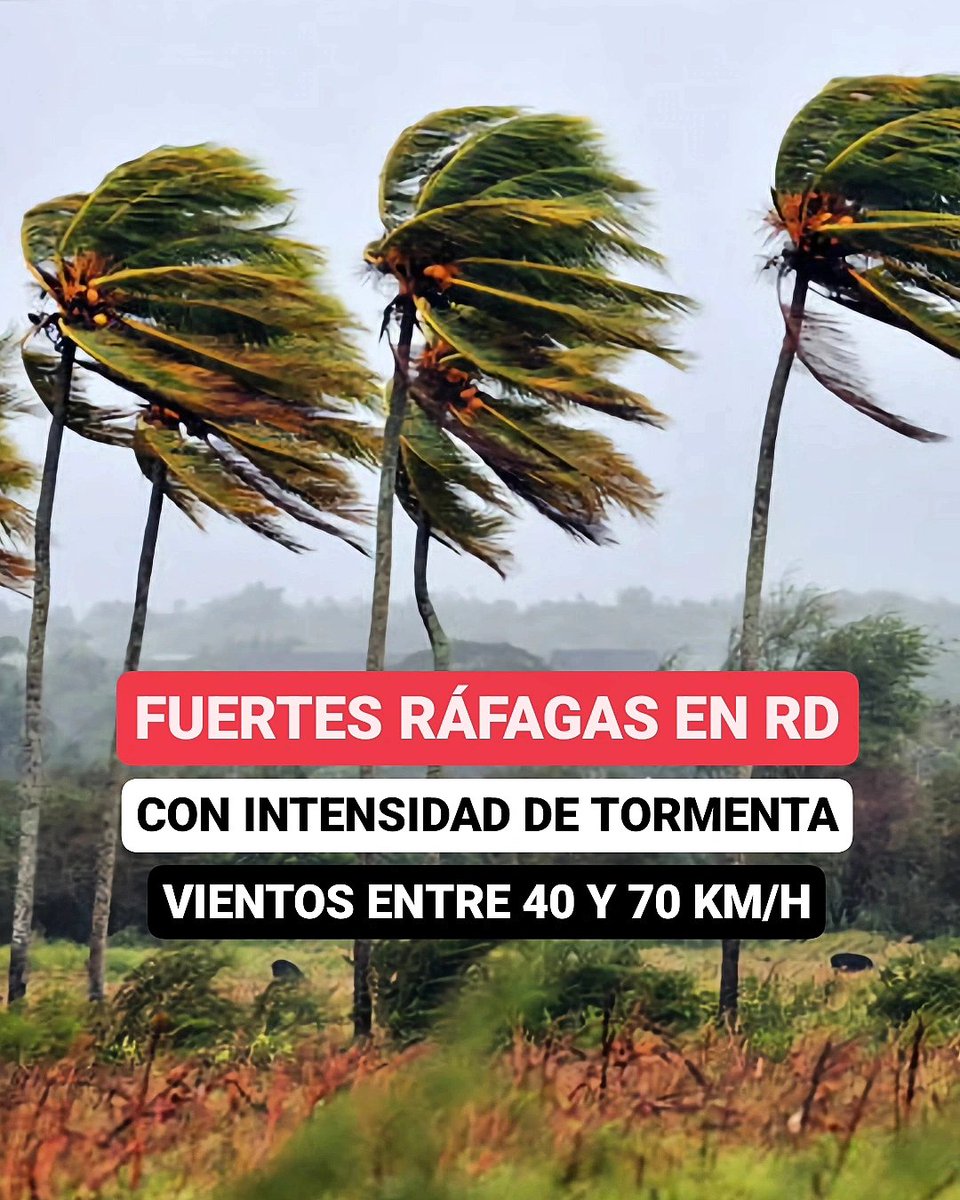 JeanSuriel's tweet photo. 🔴TOMEN NOTA🔴
Fuertes ráfagas de viento se están registrando en República Dominicana por la cercanía de dos bajas presiones y un sistema frontal: en las últimas horas se han desarrollado vientos del suroeste, procediendo desde el Mar Caribe.

⚠️En las próximas 24 horas incrementarán las ráfagas de viento por la influencia del frente frío y el tránsito de una baja presión al norte del Caribe.

⚠️Se esperan ráfagas con intensidad de depresión o tormenta tropical, con velocidad entre 40 y 70 km/h: principalmente en el sur, sureste, este, norte, noreste y noroeste.

⚠️Este martes ocurrirán las ráfagas de viento más significativas en gran parte del territorio dominicano: mucha atención al transitar en autopistas y carreteras debido a que los vientos podrían arrojar ramas, árboles u objetos en las vías.

⚠️Estas condiciones ventosas permanecerán hasta el viernes en el país: sugerimos asegurar las terrazas y techos de los edificios por las fuertes ráfagas.

🔴¿Han sentido las fuertes ráfagas?

✅️ https://t.co/WlQFg167bk 
➡️ @AgendaClimatica
▶️ https://t.co/OBEFwksFsW
