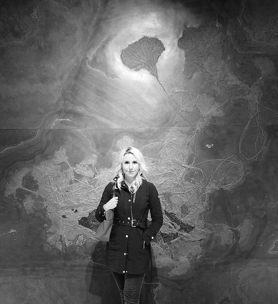 DaniAhnDirect's tweet image. Crazy and incredible weekend! I'll be back tomorrow morning with a quick video to catch us up to speed on a few trials and to continue our coverage of the Missing Mom Murder. #livecoverage #lawyer #tuscongemandcrystalshow