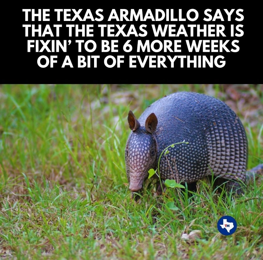 Cayce Merrill tweet media