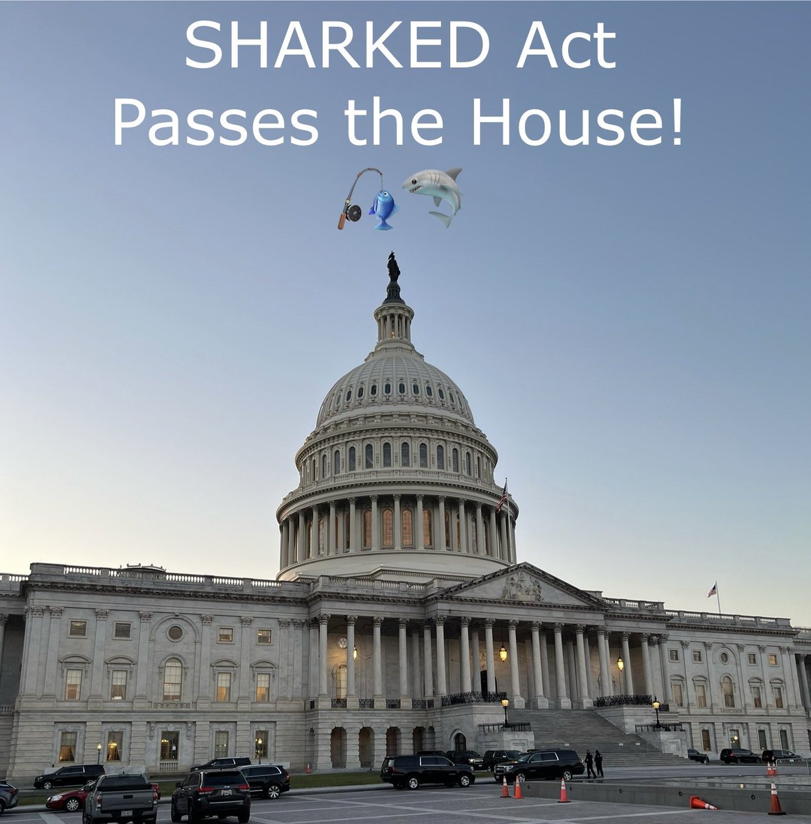 Mike Leonard (@mikeleonardfish) on Twitter photo If you’ve even been #sharked, good news! The SHARKED Act just passed the US House of Representatives, bringing us one step closer to long overdue attention and coordination for this gnarly challenge <a href="/RobWittman/">Rep. Rob Wittman</a> <a href="/RepDarrenSoto/">Rep. Darren Soto</a> <a href="/RepGarretGraves/">Garret Graves</a> <a href="/RepVeasey/">Rep. Marc Veasey</a> <a href="/ASAFishing/">ASA</a> <a href="/NatResources/">House Committee on Natural Resources</a> If you’ve even been #sharked, good news! The SHARKED Act just passed the US House of Representatives, bringing us one step closer to long overdue attention and coordination for this gnarly challenge <a href="/RobWittman/">Rep. Rob Wittman</a> <a href="/RepDarrenSoto/">Rep. Darren Soto</a> <a href="/RepGarretGraves/">Garret Graves</a> <a href="/RepVeasey/">Rep. Marc Veasey</a> <a href="/ASAFishing/">ASA</a> <a href="/NatResources/">House Committee on Natural Resources</a>