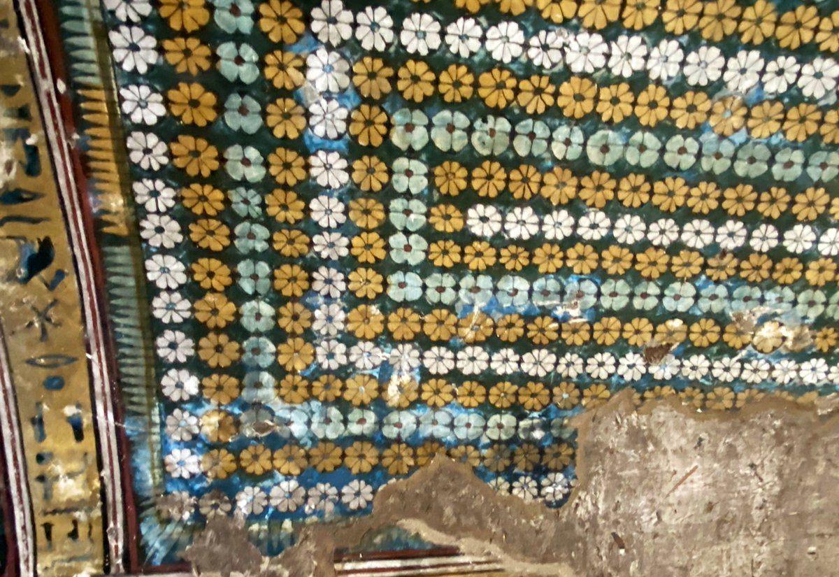 Aleksandra Hallmann tweet media