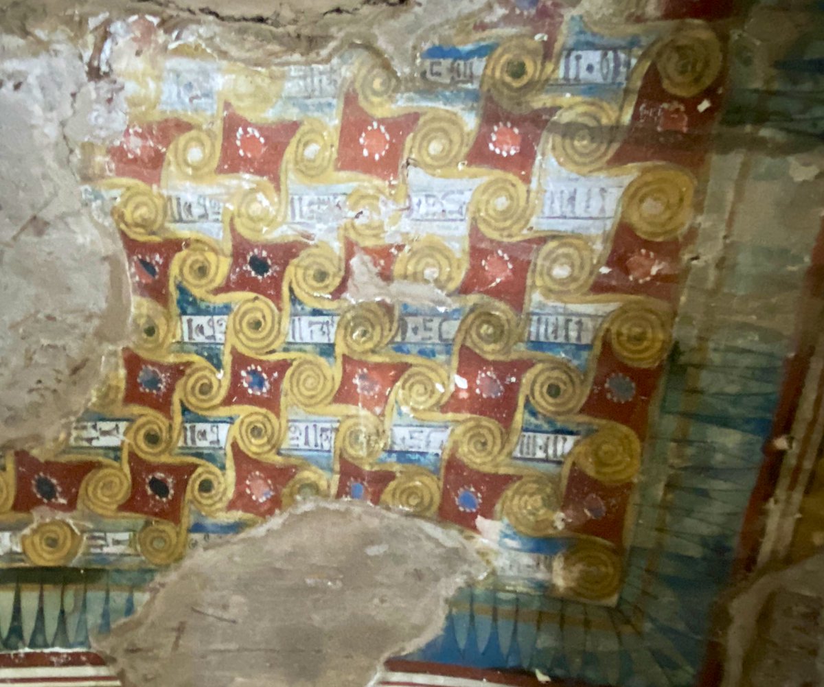 Aleksandra Hallmann tweet media