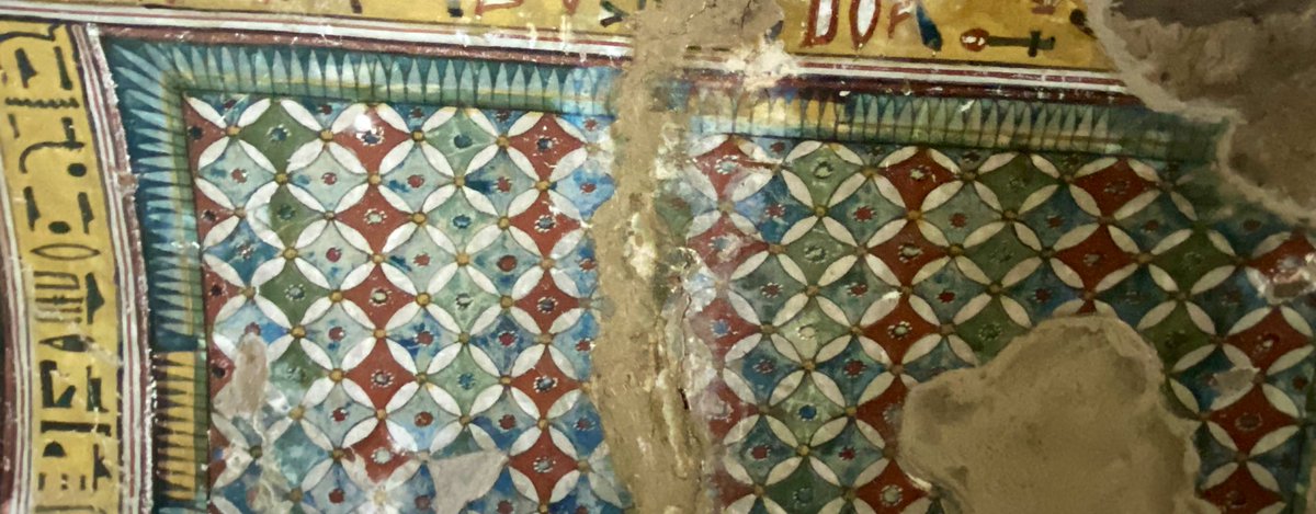 Aleksandra Hallmann tweet media