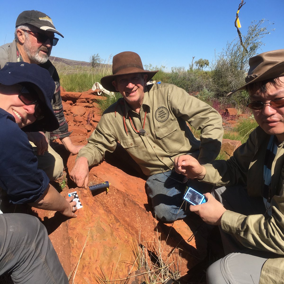 This project realistically started decades ago with bits and pieces of this fish collected by Gavin Young, but was bolstered by the discovery of the first complete specimen during @FlindersPalaeo fieldwork in 2016 on Luritja/Arrente country in the Northern Territory.