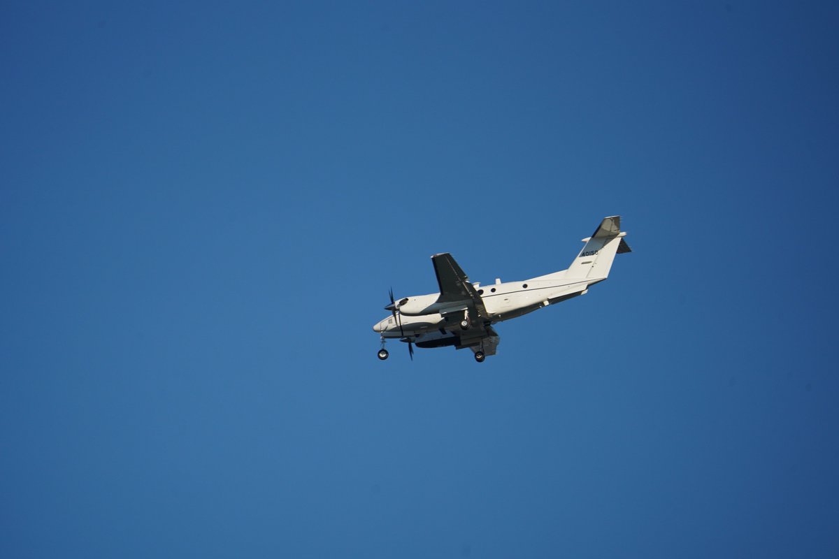 O_o hi? it pronto. tweet media