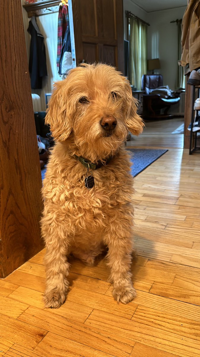 Sam Court tweet media