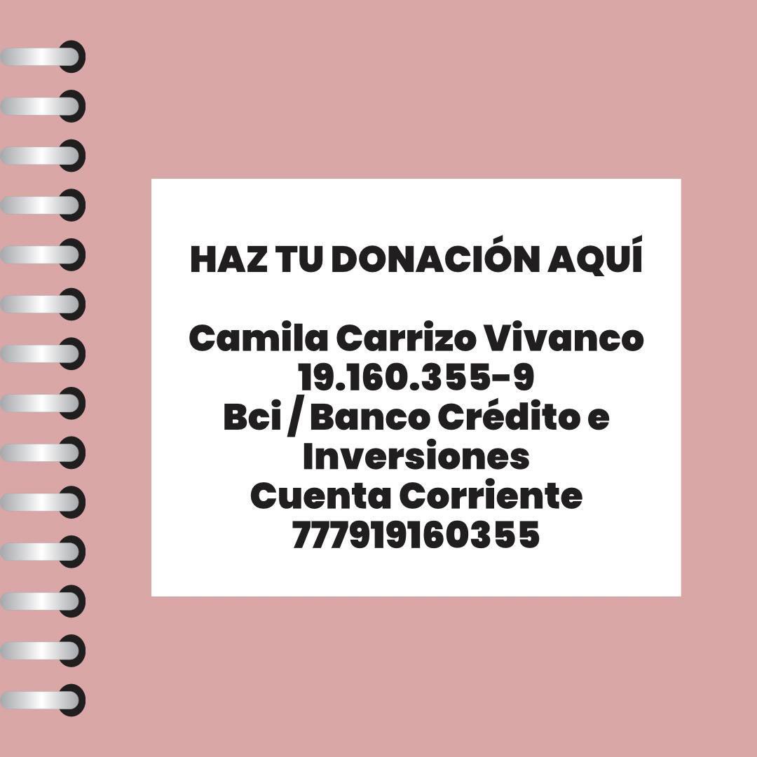 Harry Styles Chile. tweet media
