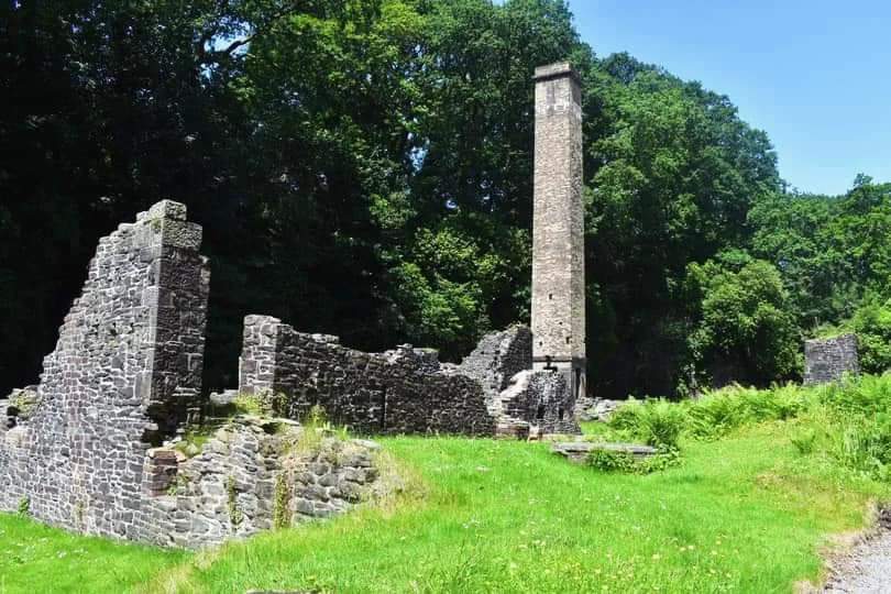 Walkthrough Neath Port Talbot tweet media