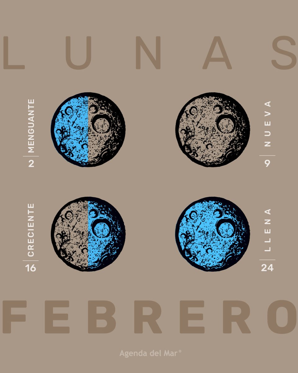 LaAgendadelMar's tweet image. Las #lunas de febrero 🌕🌖🌗🌘🌑🌒🌓🌔