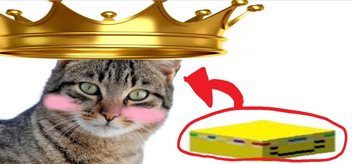 WhyItsOliver's tweet photo. THIS MIGHT be #kingsSMP princezam https://t.co/9lGSBqf0iR