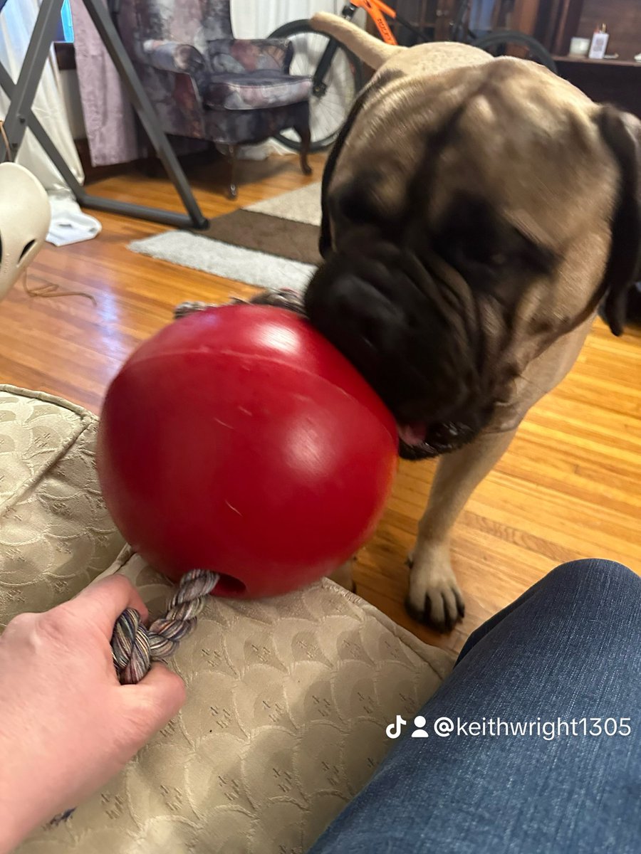 keithwrite_k's tweet image. 