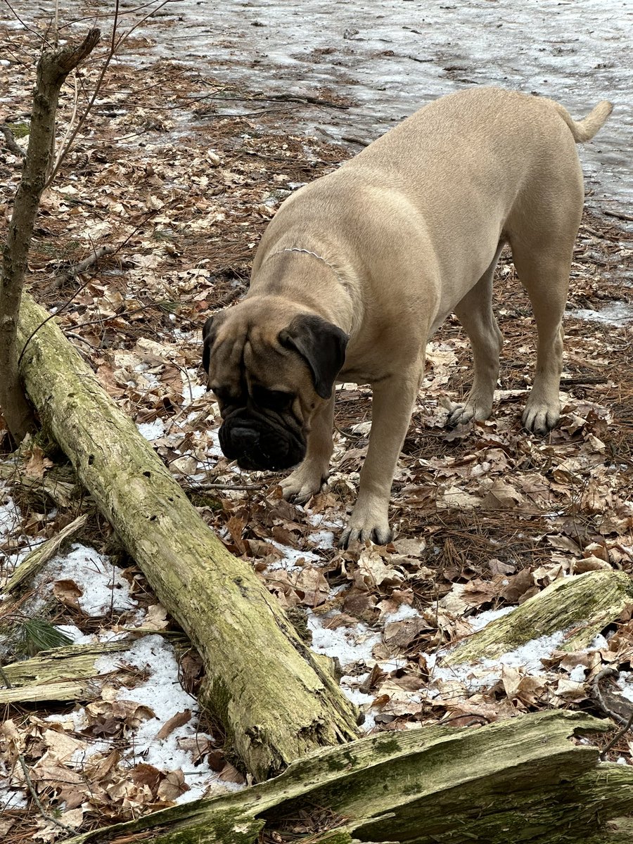 keithwrite_k's tweet image. 