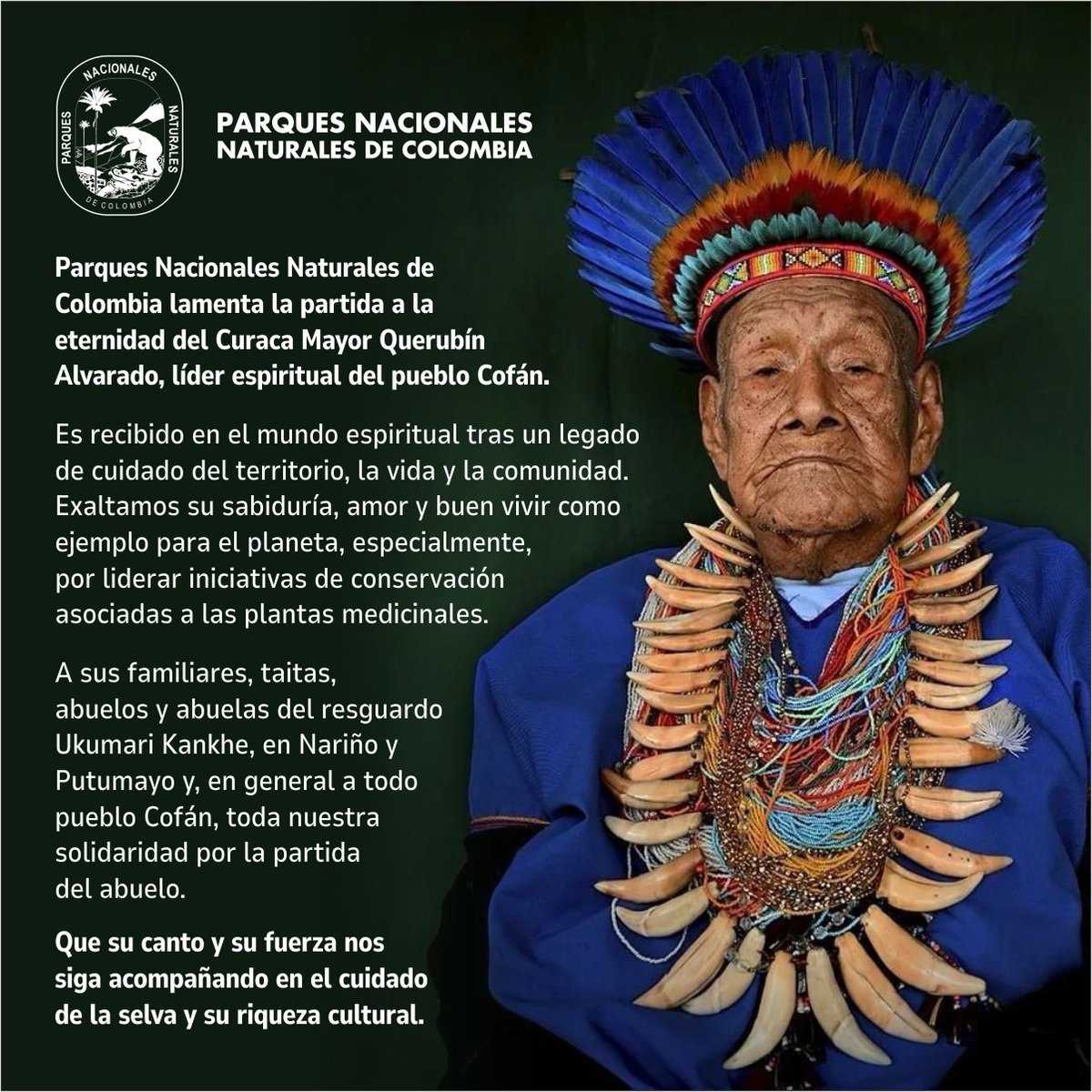 Lamentamos profundamente el fallecimiento del Curaca Mayor Querubín Alvarado, líder espiritual del pueblo Cofán. Su legado de amor por la tierra y la comunidad deja una huella imborrable.