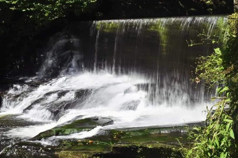 Walkthrough Neath Port Talbot tweet media