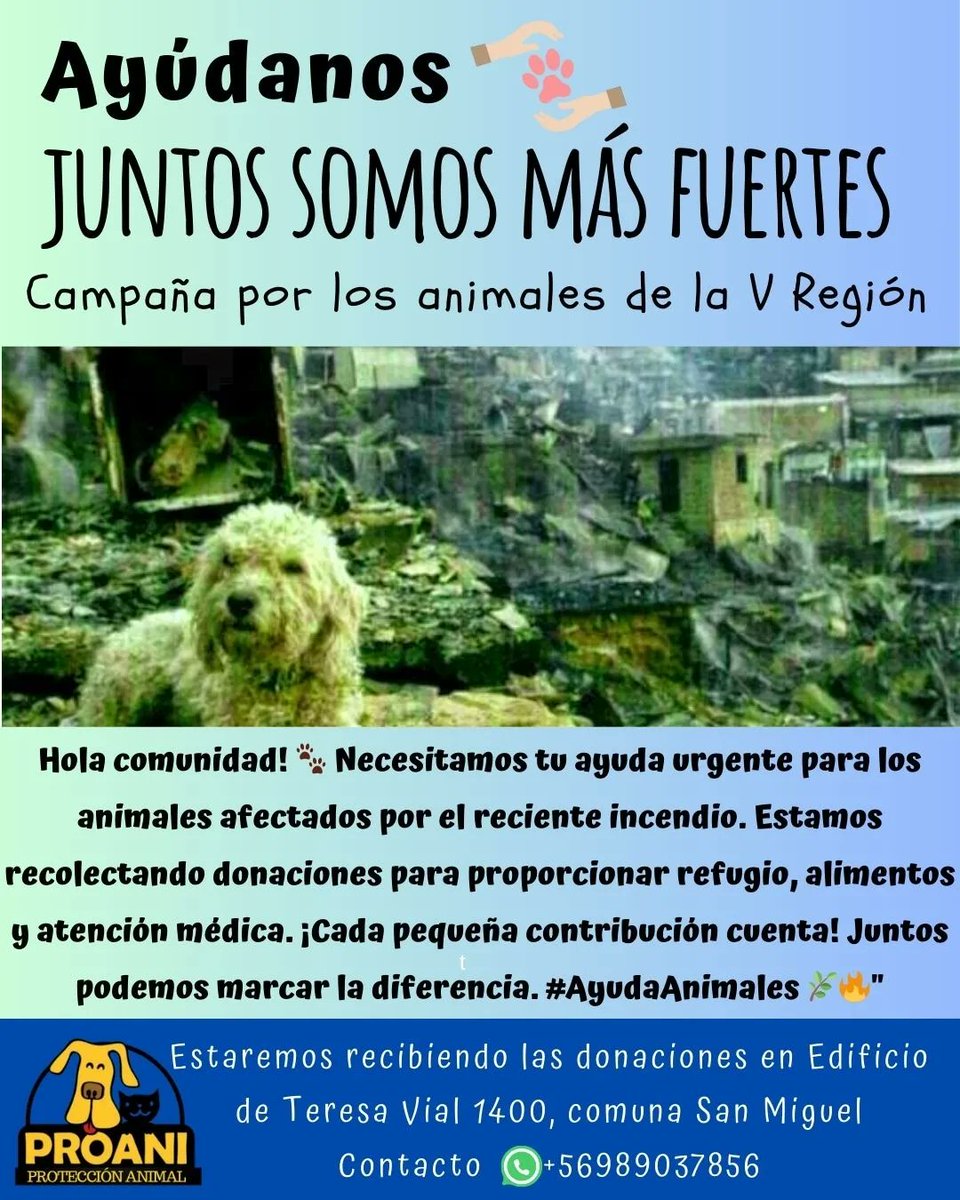 Proani San Miguel Ch (@proanisanmiguel) on Twitter photo 