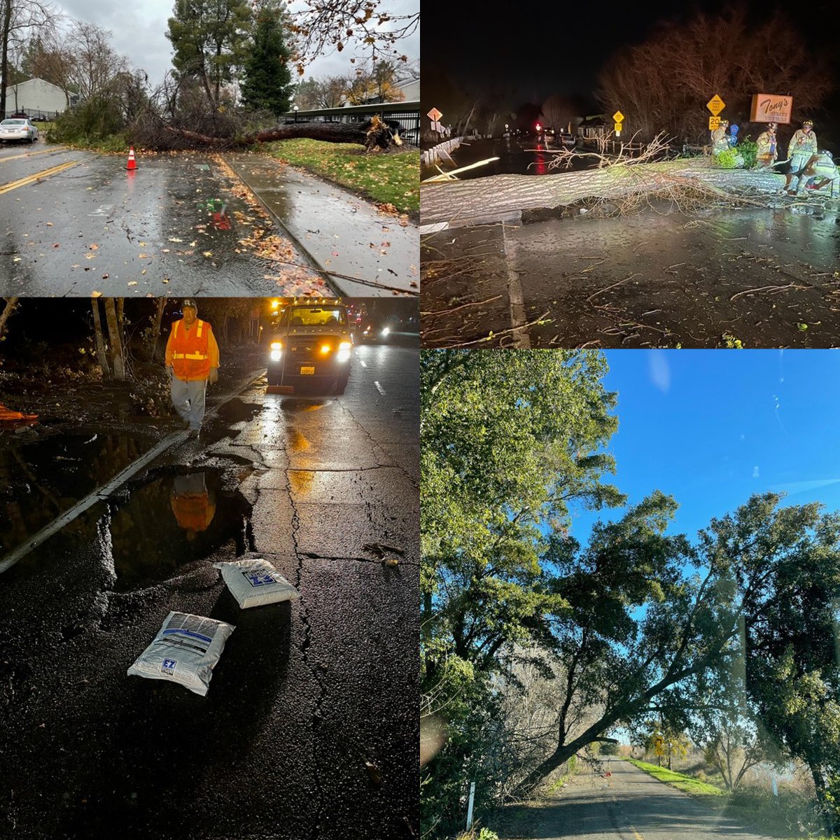 The storm has beaten up a lot of trees in our area.  SacDOT received calls for 145 downed trees.  Our removal crews have been working since yesterday to clear them from the roads and sidewalks.  See down trees, call 311.