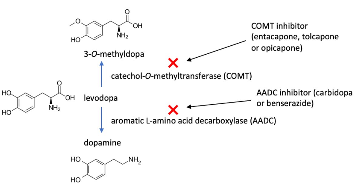 💊Therapeutic Advantage of COMT Inhibitors

COMT inhibitors are drugs used in the management of Parkinson's disease.

The therapeutic advantage of using a COMT inhibitor is based on its ability to prevent the methylation of levodopa to 3-O-methyldopa, thus increasing levodopa