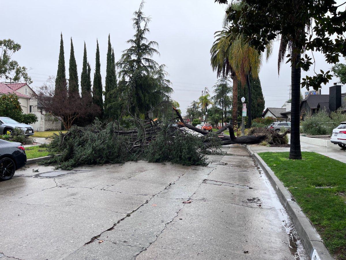 As we write this post this morning, residents have reported soggy conditions but generally draining streets, a minor power outage, and several downed trees. Overall, no significant interruptions to life considering the volume of rain that has fallen and continues to fall.