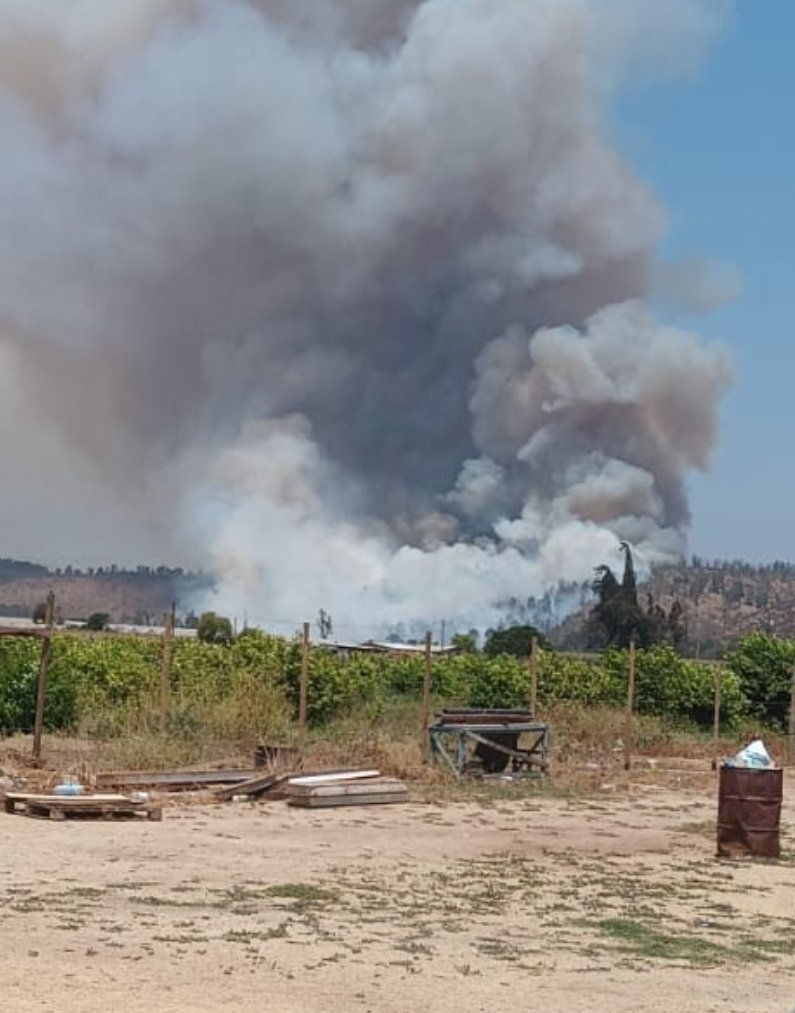 INF0SCHILE's tweet photo. ⚠️#Papudo 🔥#I.F Fuera de Control Sector Las Salinas de Pullally. https://t.co/bGZlrwfqV4