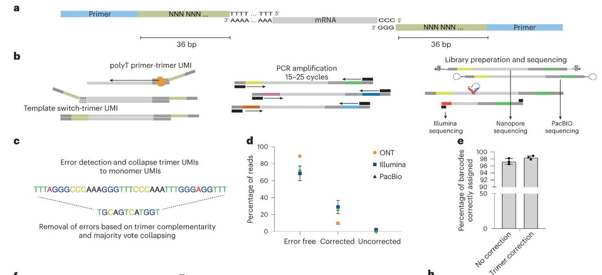 naturemethods's tweet photo. Out today: from @AdamCribbs and colleagues, a method utilizing homotrimeric nucleotide blocks achieves accurate counts of RNA molecules in bulk and single-cell sequencing studies.

https://t.co/2z1CNRciAU https://t.co/uRT4St27XT