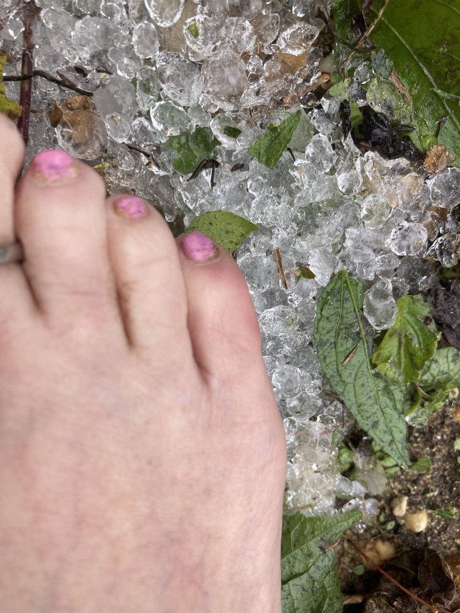 xsuzi00's tweet image. I don’t know what is in these hail stones, but 18 hours later there’s still piles of it
In Florida.

Climate crises example number gazillion.
#climatecrisesisreal #climateapocalypse