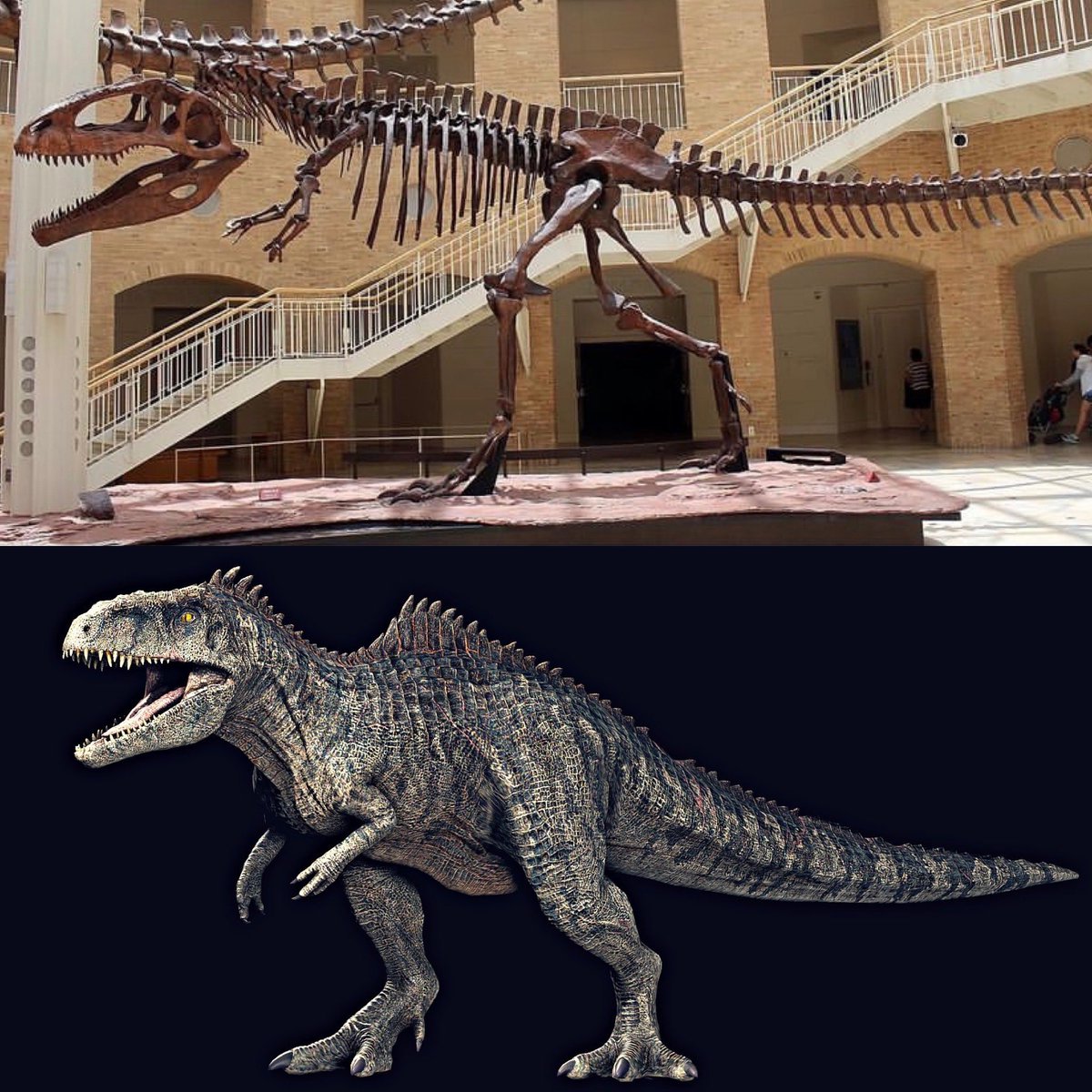 thejurassicmag's tweet photo. Jurassic Forever: Giganotosaurus

#JurassicWorldDominion #dinosaurs #paleoart #jurassic #animals #nature #dino #dinosaur #fossil #paleontology #paleontologist #jurassicpark #jurassicworld #Giganotosaurus #Giga #Theropod #thelostworld #thelostworldjurassicpark #jurassicpark3 https://t.co/OrCNjlz3hj
