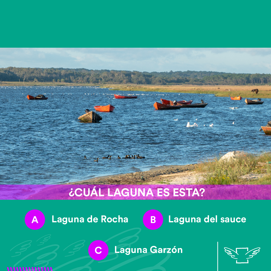 Estas canoas son clásicas de la Laguna ______.

¿Cuál es? ¡Contanos en los comentarios!