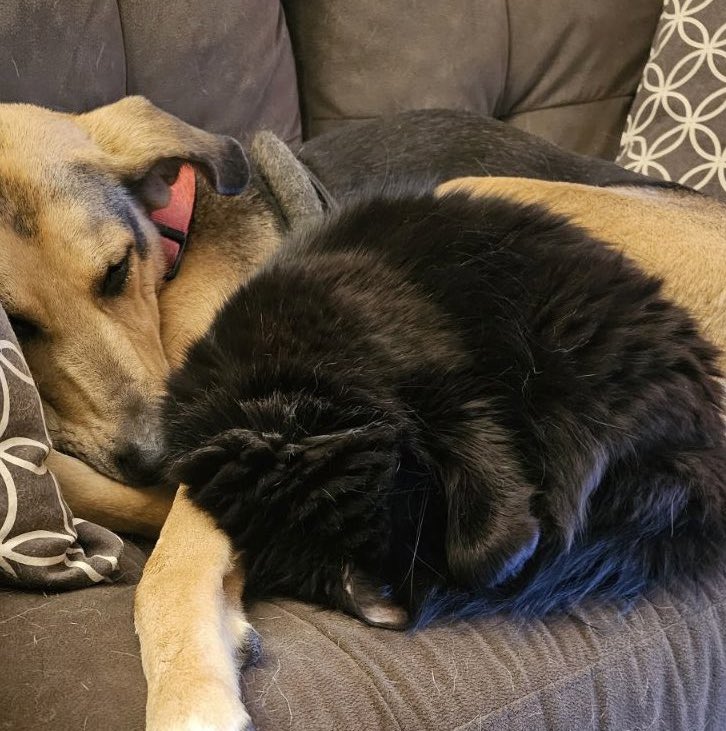 bleuterosome's tweet photo. the beef between zola and mama is both legendary and long lived… but their love for eachother is just as tenacious https://t.co/BMDYQK61mv
