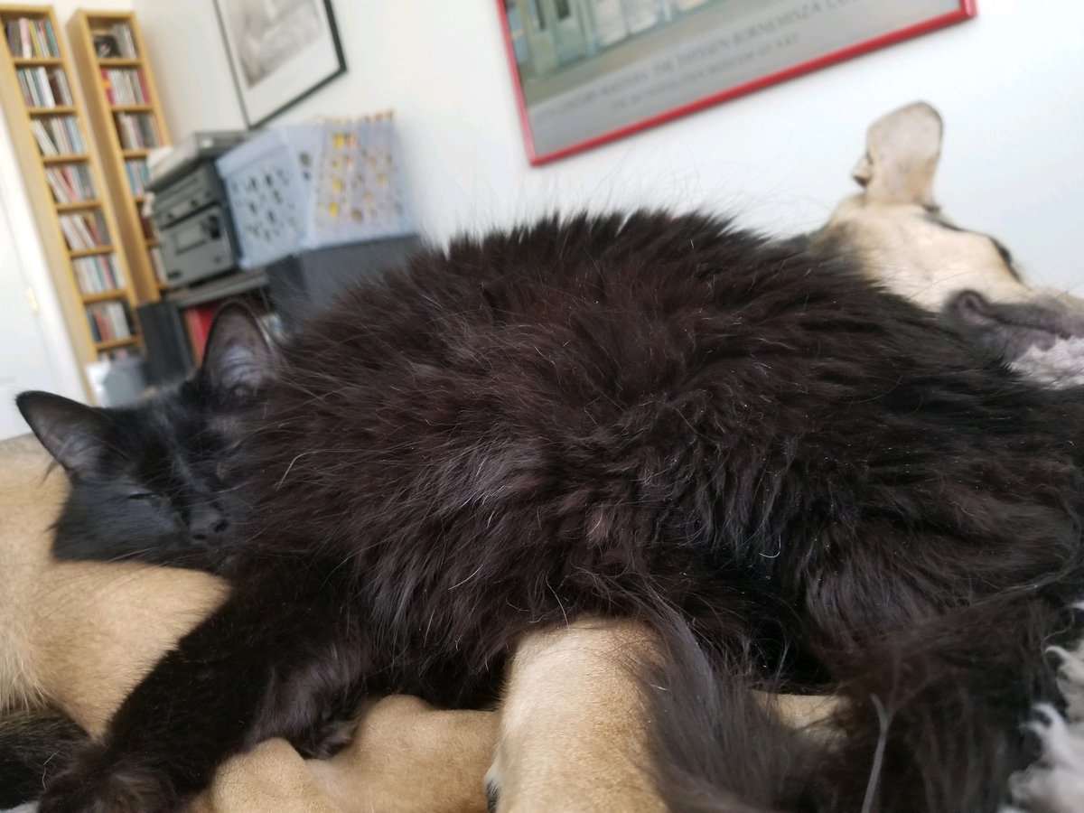 bleuterosome's tweet photo. the beef between zola and mama is both legendary and long lived… but their love for eachother is just as tenacious https://t.co/BMDYQK61mv