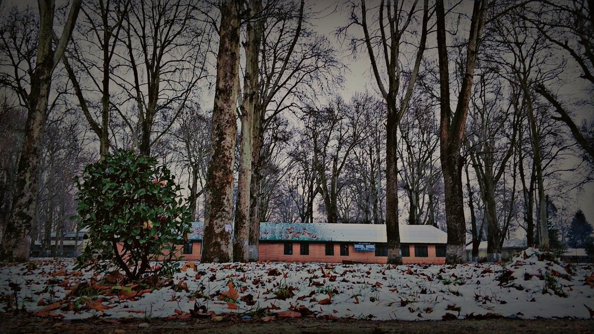kumar_rameez143's tweet photo. Mesmerizing Naseembagh, KU

#university #WINTER #NaturePhotography #twitter https://t.co/k1zUmyeth0