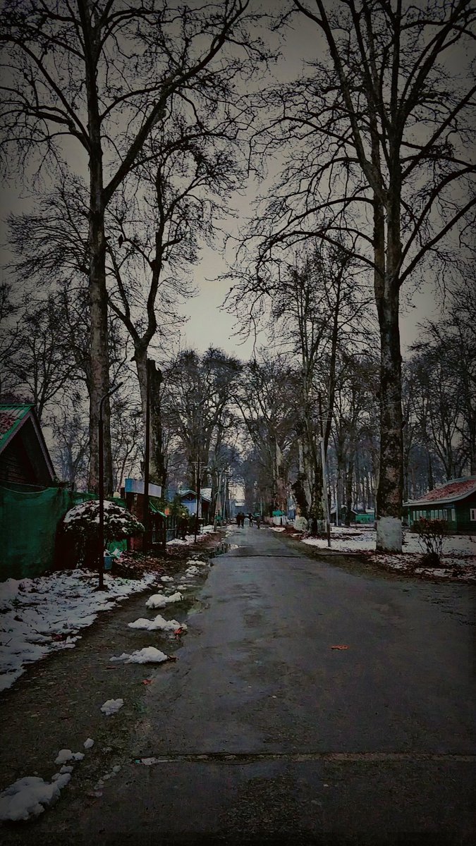 kumar_rameez143's tweet photo. Mesmerizing Naseembagh, KU

#university #WINTER #NaturePhotography #twitter https://t.co/k1zUmyeth0