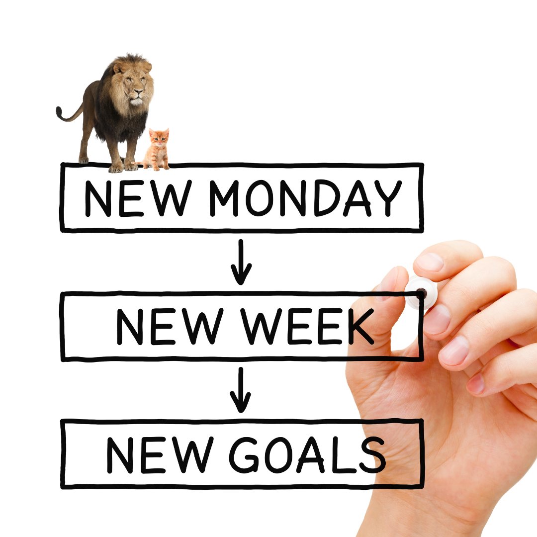 LionProject tweet media