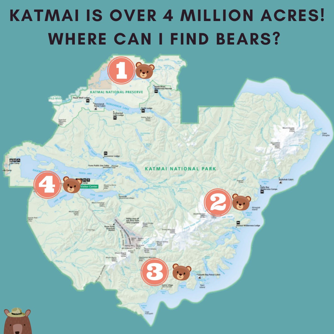 1) Moraine Creek and Funnel Creek, also known as Crosswinds. 2) Hallo Bay, a pasture by the sea. 3) Geographic Harbor, a costal retreat. 4) Brooks Camp, home of sow 128, the fat bear champion of 2023. Learn more here: ow.ly/ptXx50Qwzzx