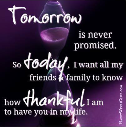 RVRedwood (@rv_redwood) on Twitter photo 