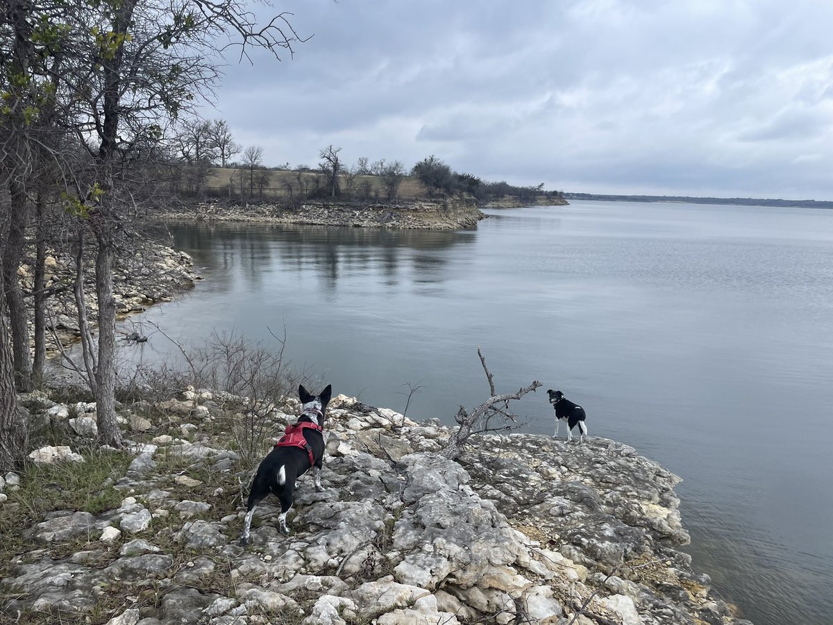 messimilodog's tweet photo. Visited Lake Whitney over the weekend. https://t.co/haAB3xbUBu
