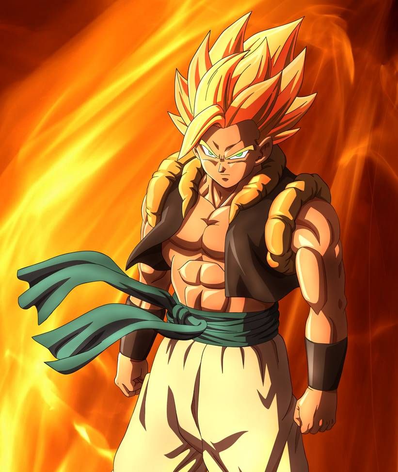 Cook