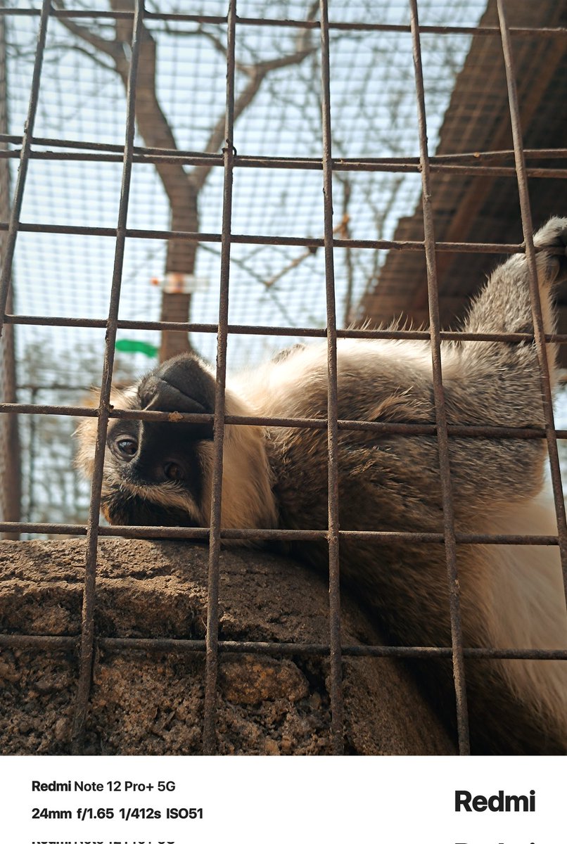 Skylark's Place Gadgets 💉📱 tweet media