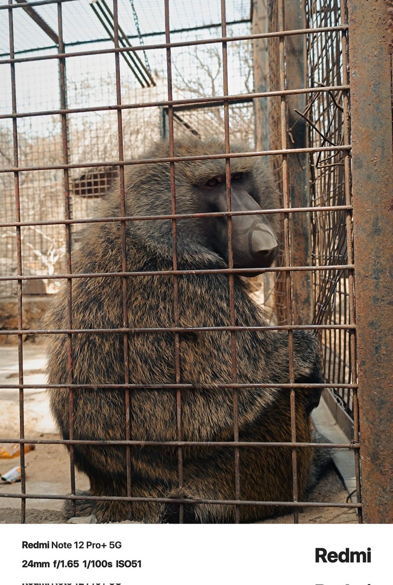 Skylark's Place Gadgets 💉📱 tweet media