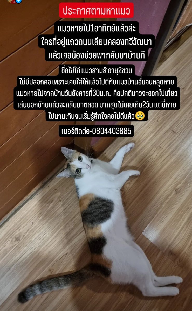 sucha._.at สุชาติติดปีก tweet media