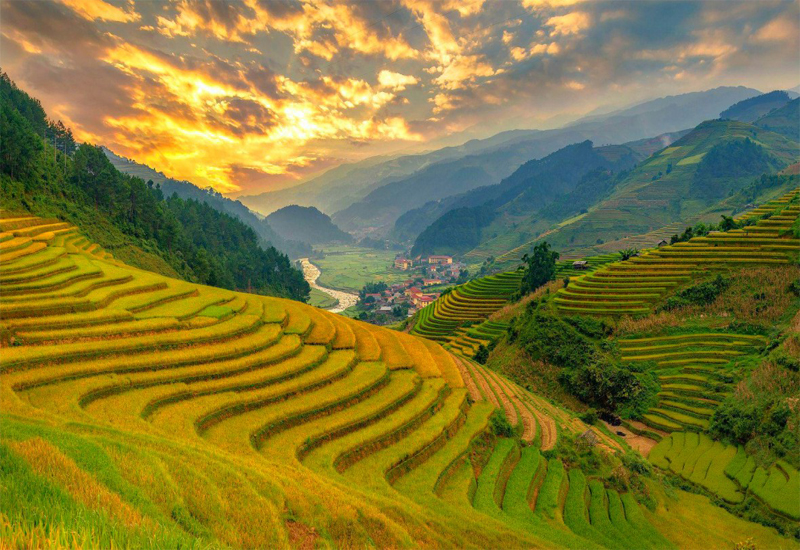 ffhhdd22006's tweet photo. Explore the breathtaking beauty of terraced fields! Today, join me on a journey to discover the stunning landscapes, local cultures, and unique images of terraced fields around the world. 🌏🌄 #TerracedFieldsExploration #TerracedAgriculture https://t.co/03CxSk0Bwm