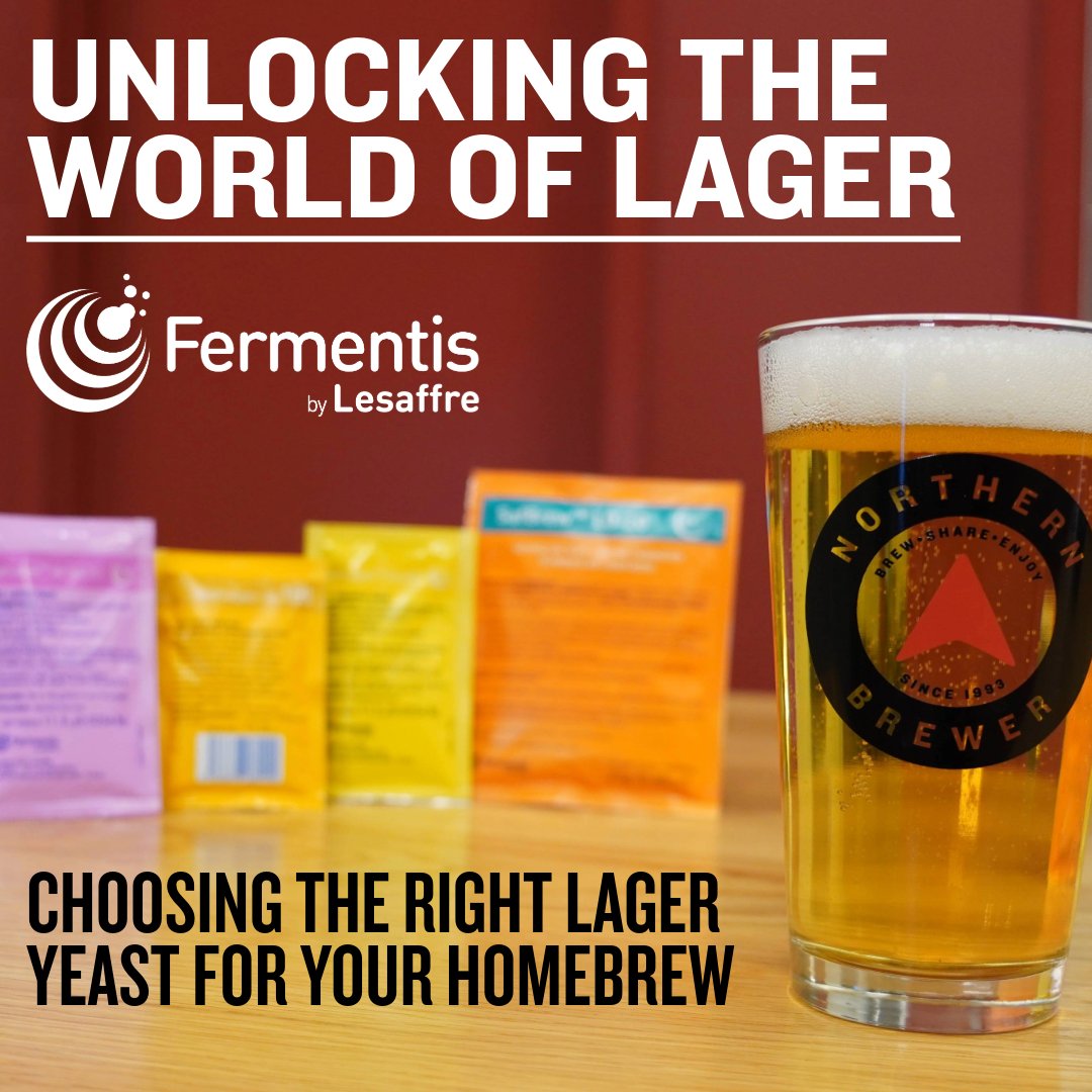 Northern Brewer (@northern_brewer) on Twitter photo Get tips straight from <a href="/Fermentis/">Fermentis by Lesaffre</a> on choosing the right lager strain for your next homebrew! Each strain highlighted offers a unique flavor profile, allowing you to craft the perfect lager to suit your taste. Discover which yeast is right for you: bit.ly/3w5xllS Get tips straight from <a href="/Fermentis/">Fermentis by Lesaffre</a> on choosing the right lager strain for your next homebrew! Each strain highlighted offers a unique flavor profile, allowing you to craft the perfect lager to suit your taste. Discover which yeast is right for you: bit.ly/3w5xllS
