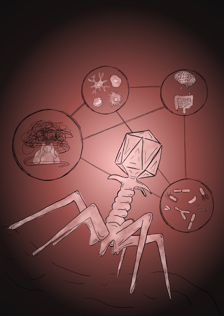 Nate Ritz (@nateritz3) on Twitter photo The gut virome is associated with stress-induced changes in behaviour and immune responses in mice
nature.com/articles/s4156…
Excited to share our newly published study <a href="/NatureMicrobiol/">Nature Microbiology</a>!
<a href="/Pharmabiotic/">APC Microbiome Ireland</a> <a href="/AnatNeuroUCC/">UCC Anat. & Neurosci</a> <a href="/jfcryan/">John F. Cryan</a> <a href="/colinhillucc/">@colinhillucc</a> image credit <a href="/emilygknox/">Emily Knox</a> (1/6) The gut virome is associated with stress-induced changes in behaviour and immune responses in mice
nature.com/articles/s4156…
Excited to share our newly published study <a href="/NatureMicrobiol/">Nature Microbiology</a>!
<a href="/Pharmabiotic/">APC Microbiome Ireland</a> <a href="/AnatNeuroUCC/">UCC Anat. & Neurosci</a> <a href="/jfcryan/">John F. Cryan</a> <a href="/colinhillucc/">@colinhillucc</a> image credit <a href="/emilygknox/">Emily Knox</a> (1/6)