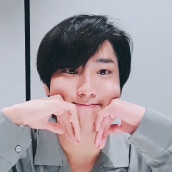 h922js's tweet image. Munchkin sweetie pie