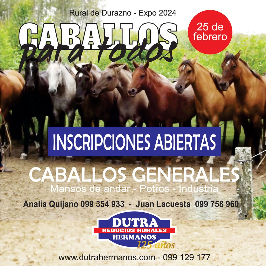 Se viene una nueva edición del clásico remate de yeguarizos en la Expo Durazno, Caballos Para Todos.

Se abrieron inscripciones. No dude en consultar. Yeguarizos en todas las categorías. 

#caballosparatodos #ExpoDurazno #dutrahnos #remate #Auction #caballos #Horses
