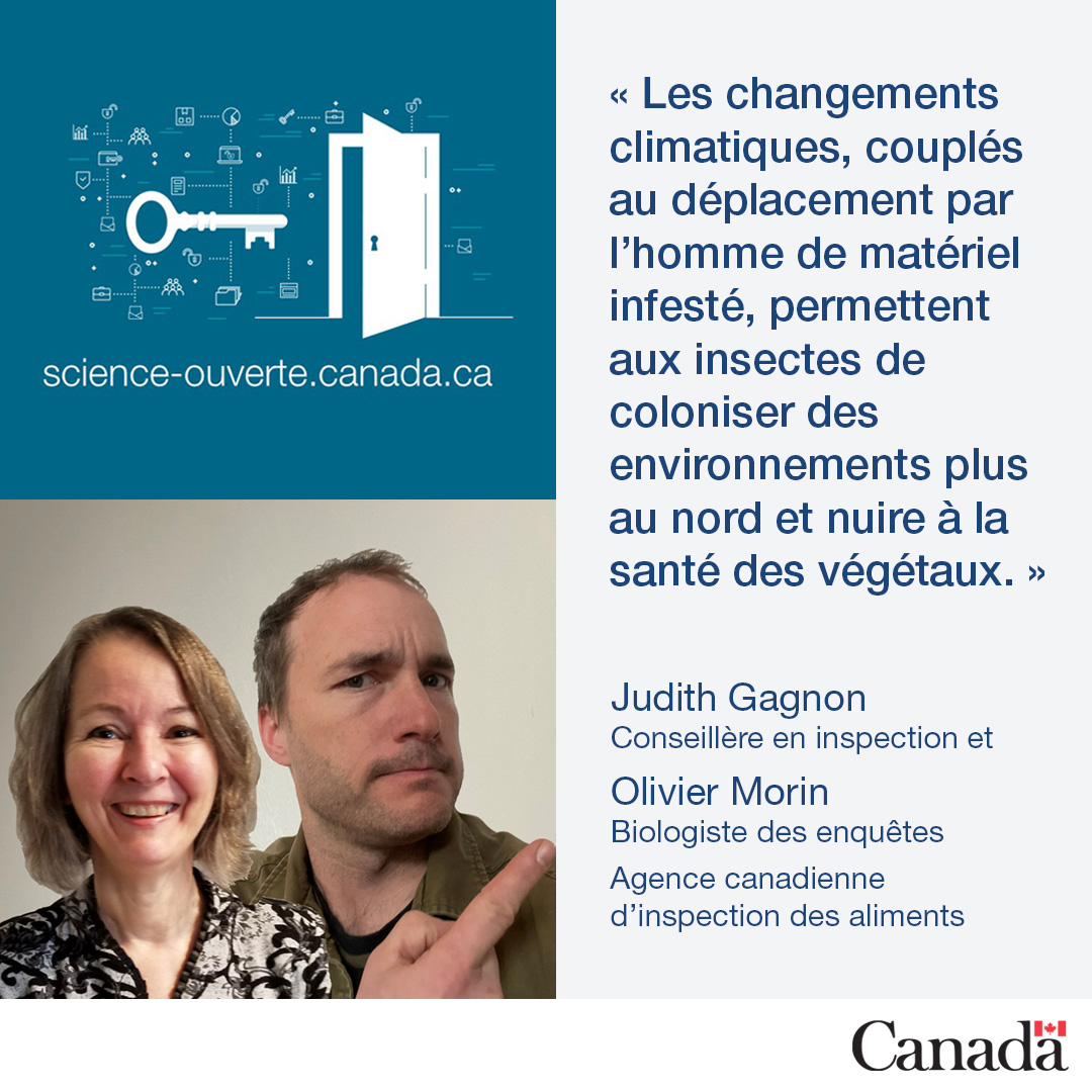InspectionCanFR's tweet photo. La science ouverte est importante pour éliminer les obstacles à la collaboration.
Renseignez-vous sur le travail important de nos experts Judith et Olivier sur la #ProtectionDesVégétaux dans le DépÎt fédéral de #ScienceOuverte du Canada: https://t.co/2Apu3jOWNh
#ScienceACIA https://t.co/IdeS4sp7vi